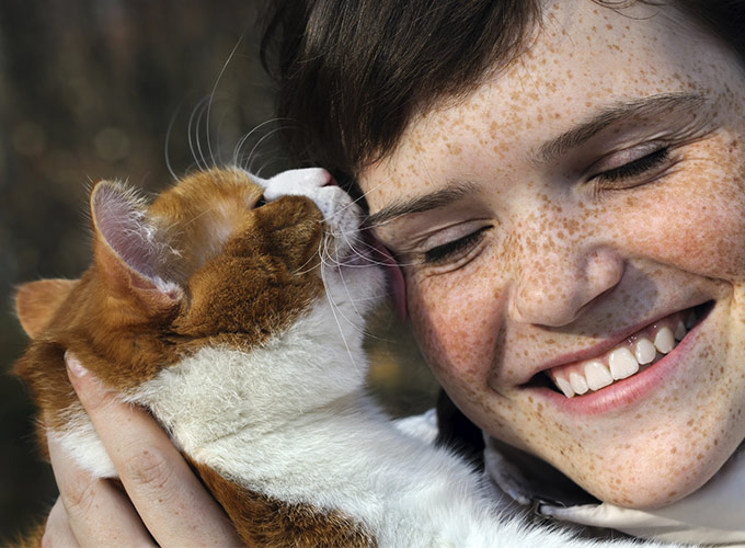 Les 10 signes qui montrent que votre chat vous aime! Cocktail