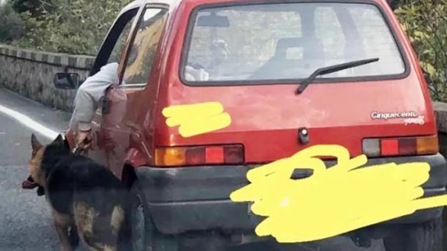 Un propriétaire «promène» son chien en laisse… en