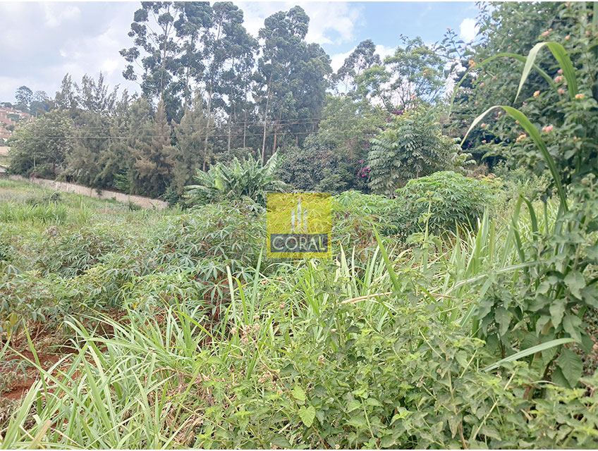 Quick Sale! HalfAcre parcel of land for sale in Loresho Coral