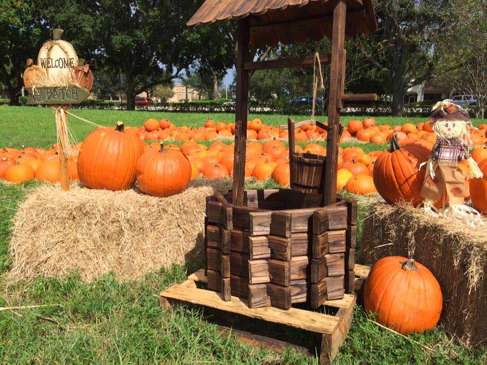 Parkridge Pumpkin Patch Now Open to Visitors • Coral Springs Talk
