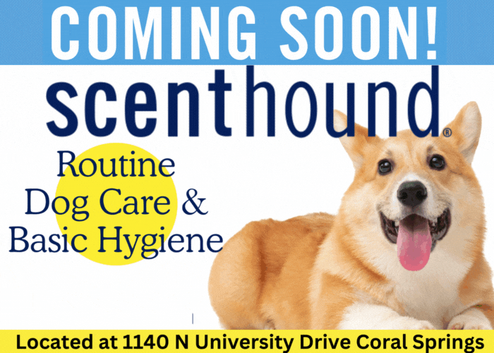 Youth Pastor Arrested After Pointing Gun at Mother and Daughter in Road