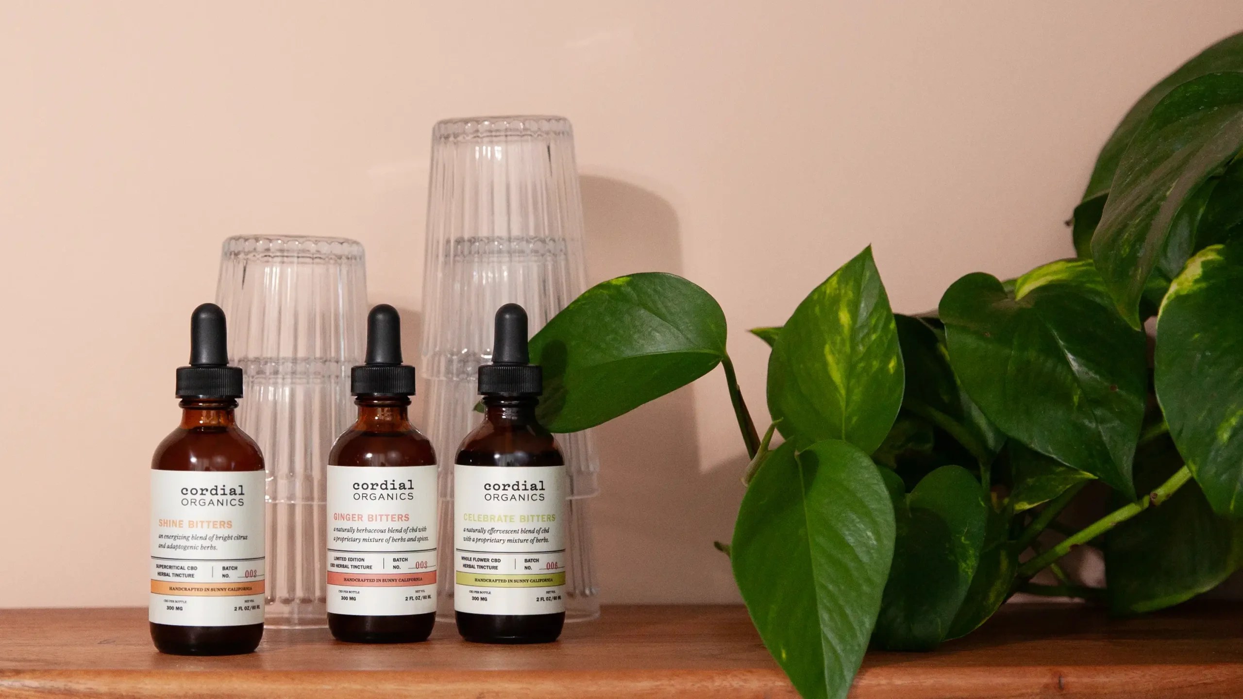 The Ultimate Guide to Digestive Bitters Benefits and Uses