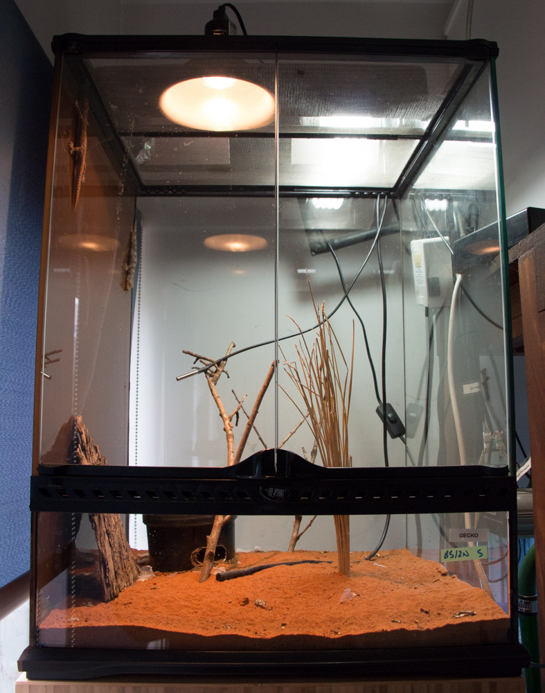 YAM Monitoring Animal Enclosures Tutorial Australia