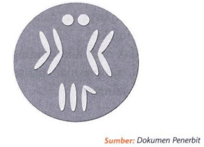 Perhatikan diagram berikut. Rumus kromosom Dros&hellip;