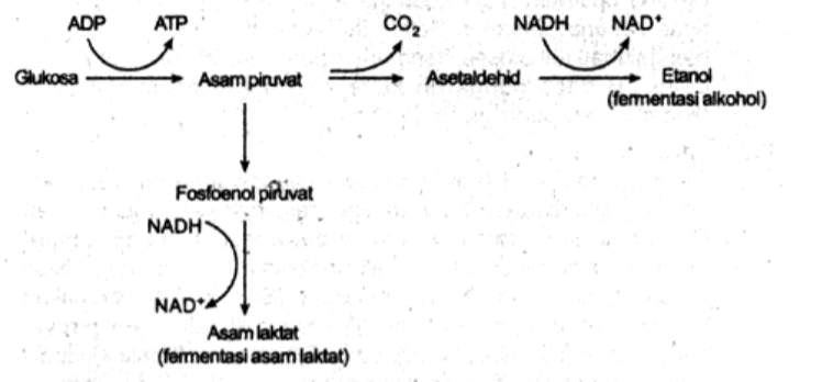 Setelah melakukan lari sprint, Aji mengalami kelel&hellip;