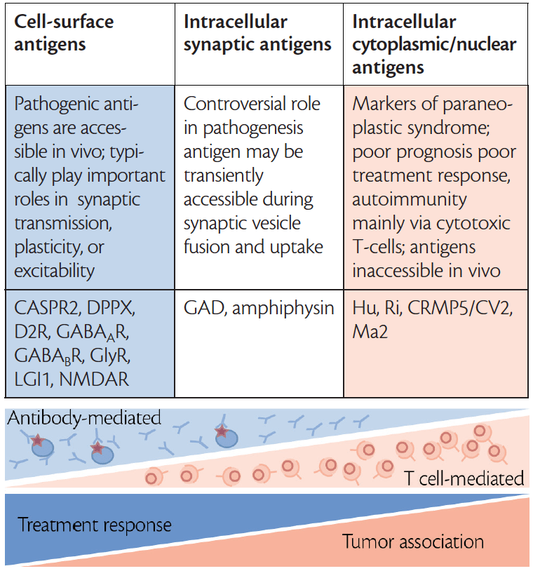 Autoimmune Movement Disorders in Adults Practical Neurology