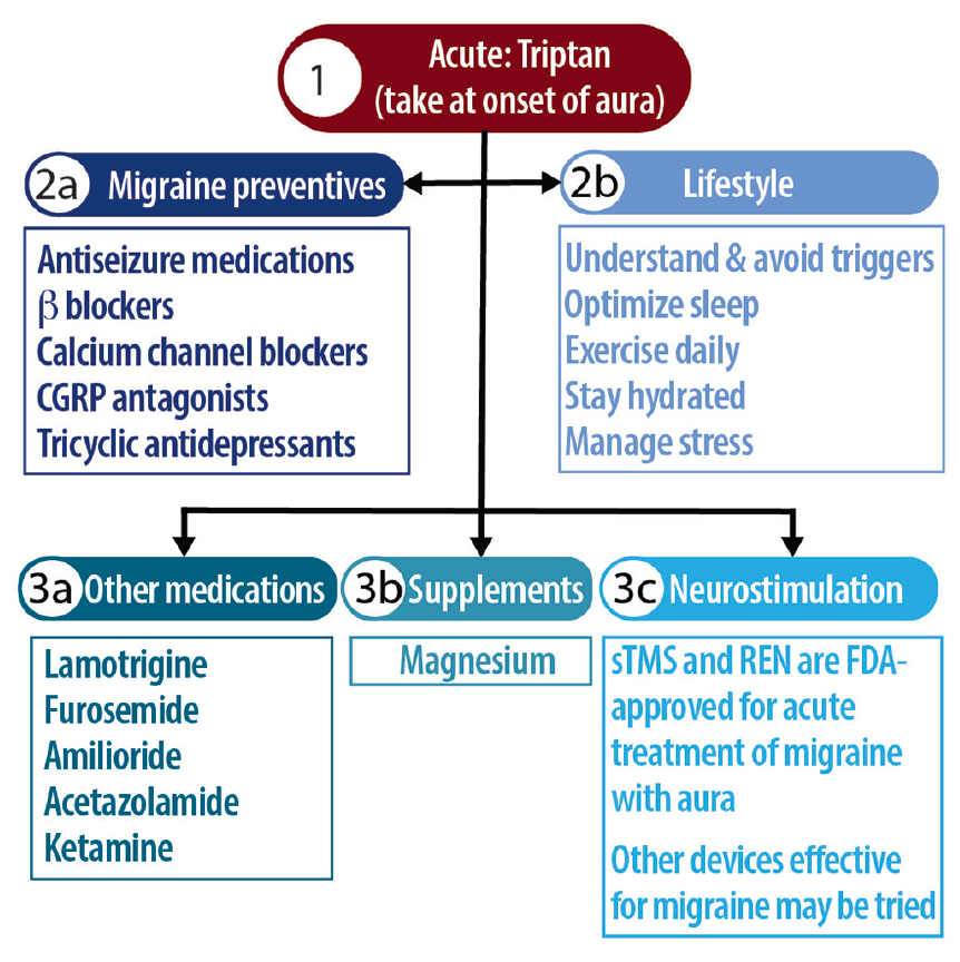 Migraine Visual Aura & Other Visual Phenomena Practical Neurology
