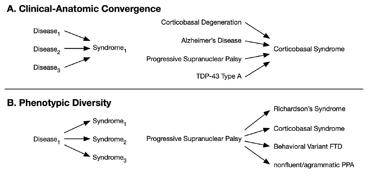 A Precision Medicine Approach to Dementia Care Syndrome, Etiology, and