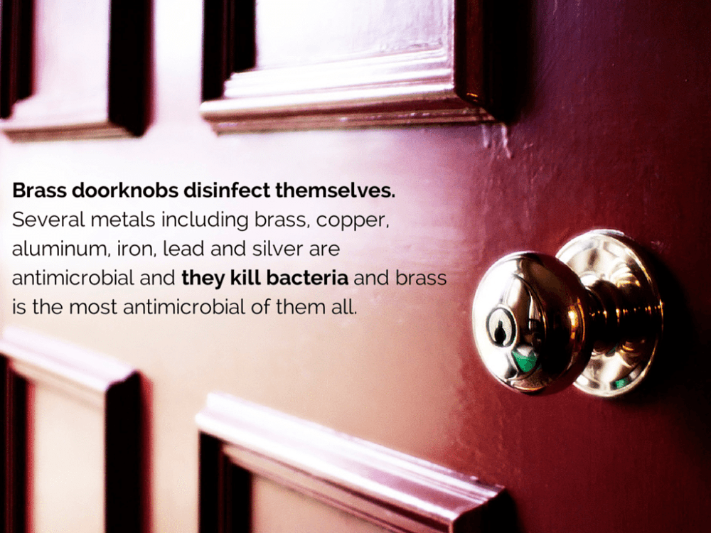 8 Totally Weird Real Estate Facts Official Corefact Blog