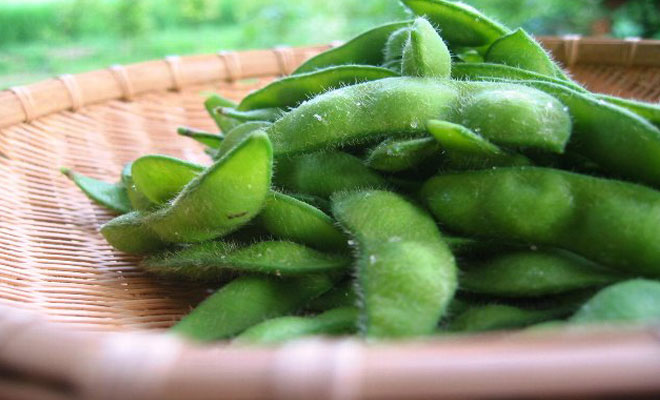 枝豆の健康効果と美味しいおつまみレシピ Corelady