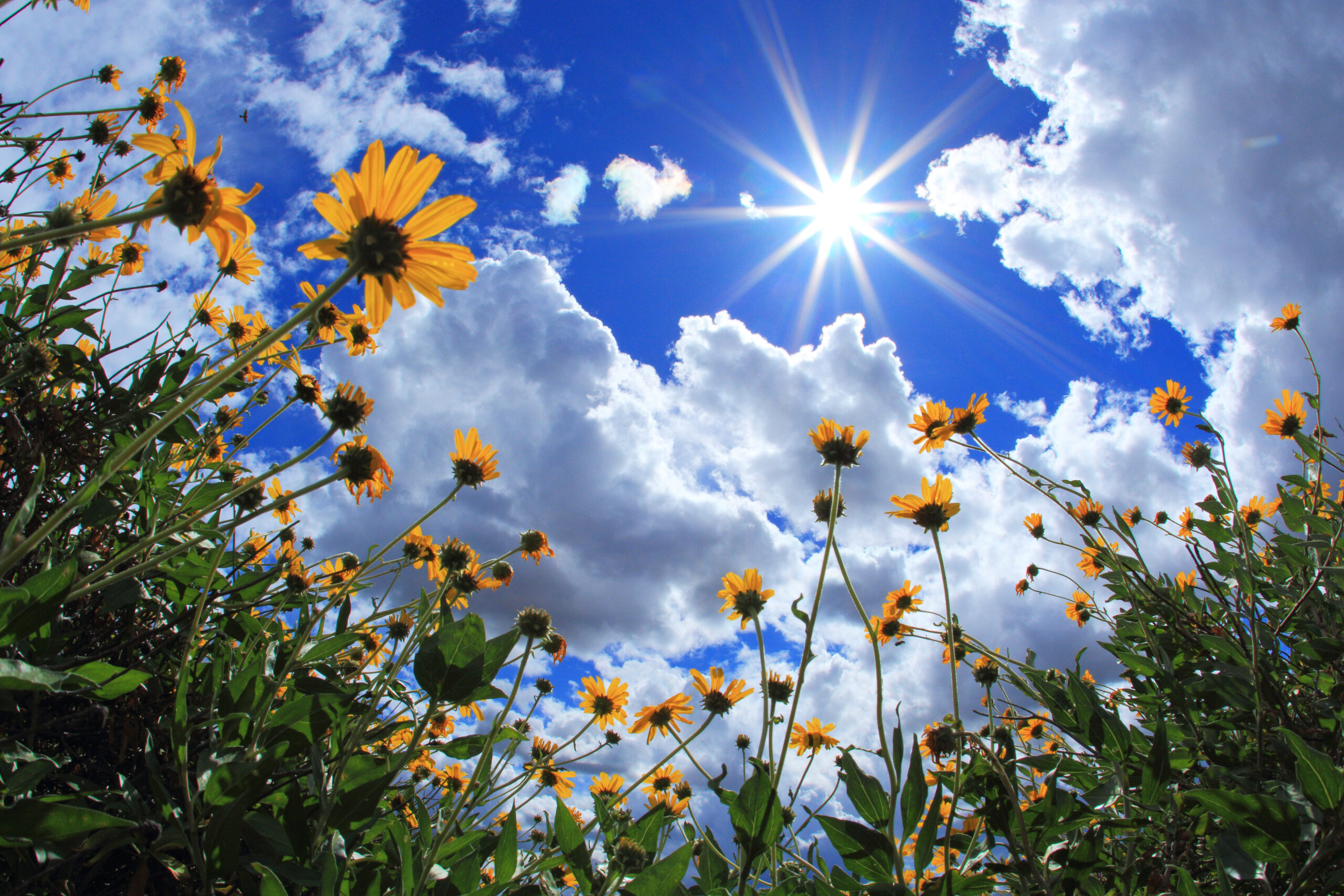 Vitamin D, The Sunshine Vitamin CoreLife Healthcare