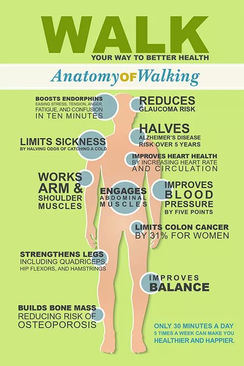 Ingin Awet Muda? Yuk Jalan Kaki 30 Menit Setiap Hari ! | Coretan IraI