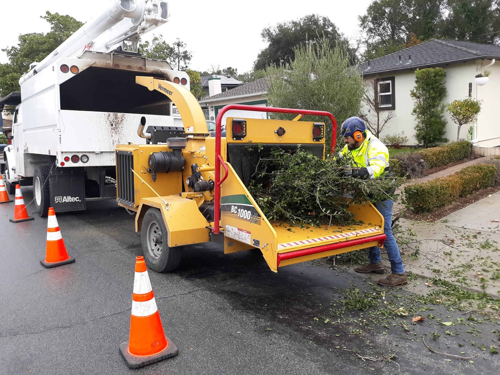 Tree Services Core Tree Care Inc Pedley CA
