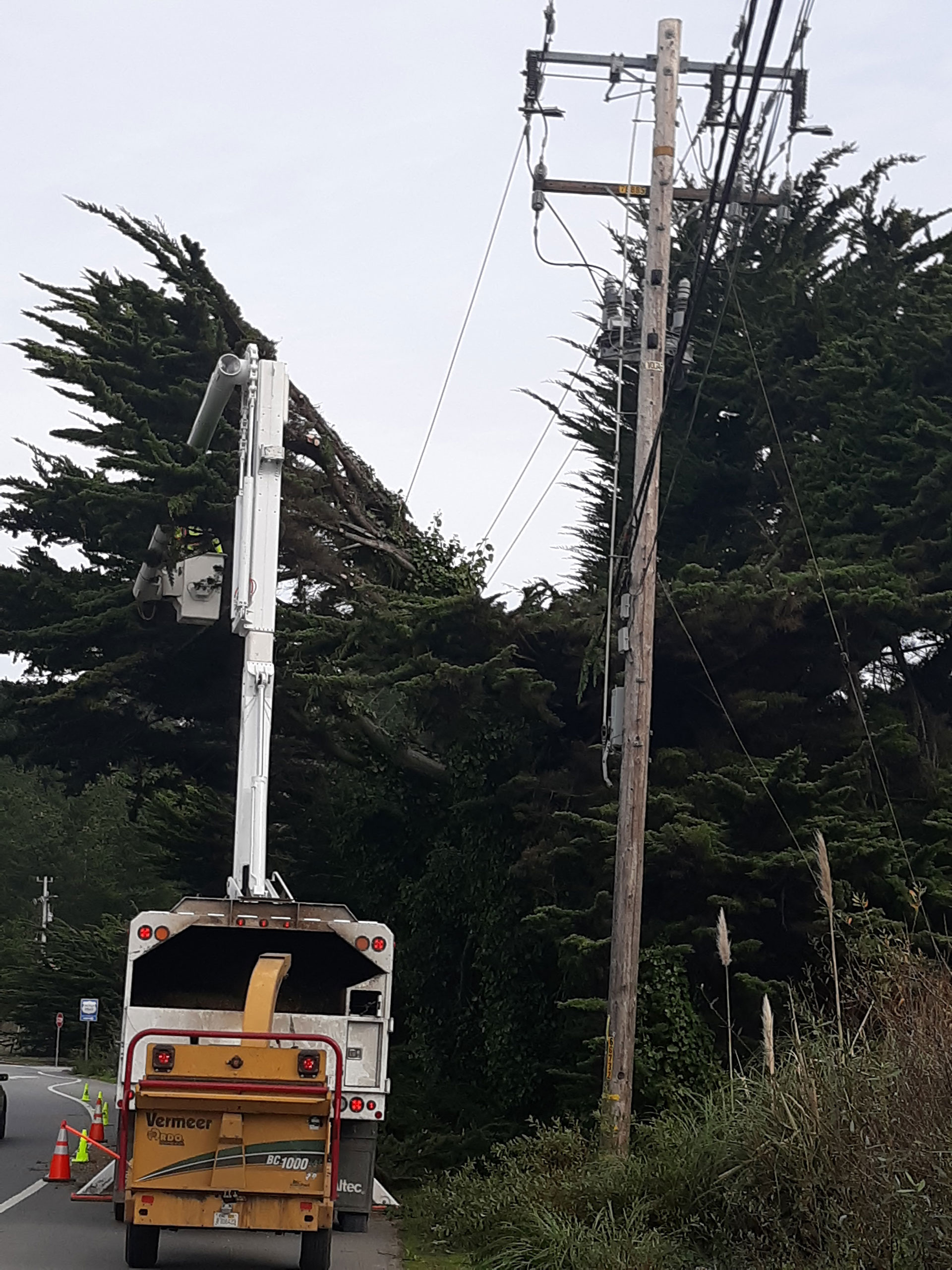 Tree Services Core Tree Care Inc Pedley CA