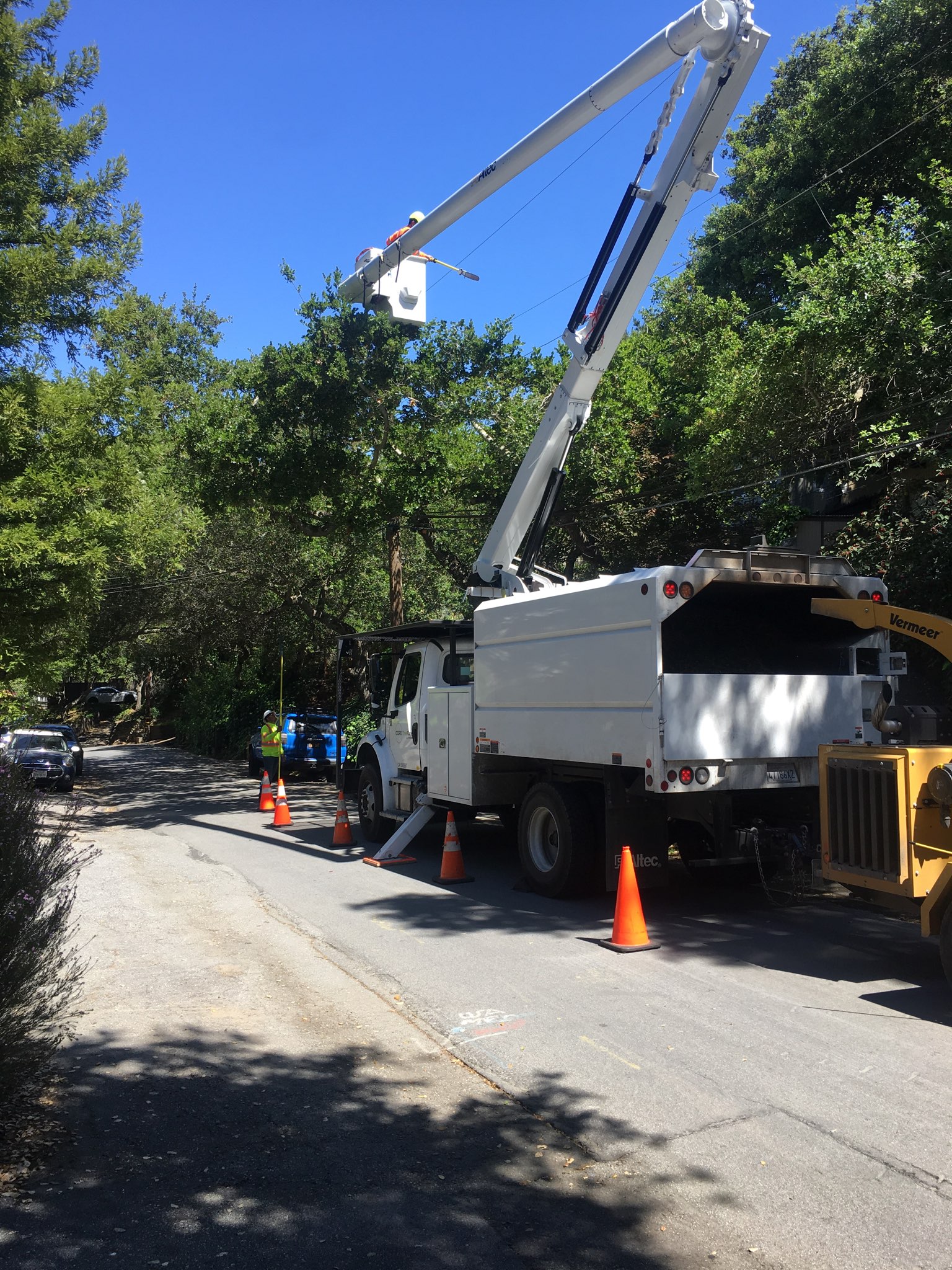 Tree Services Core Tree Care Inc Pedley CA