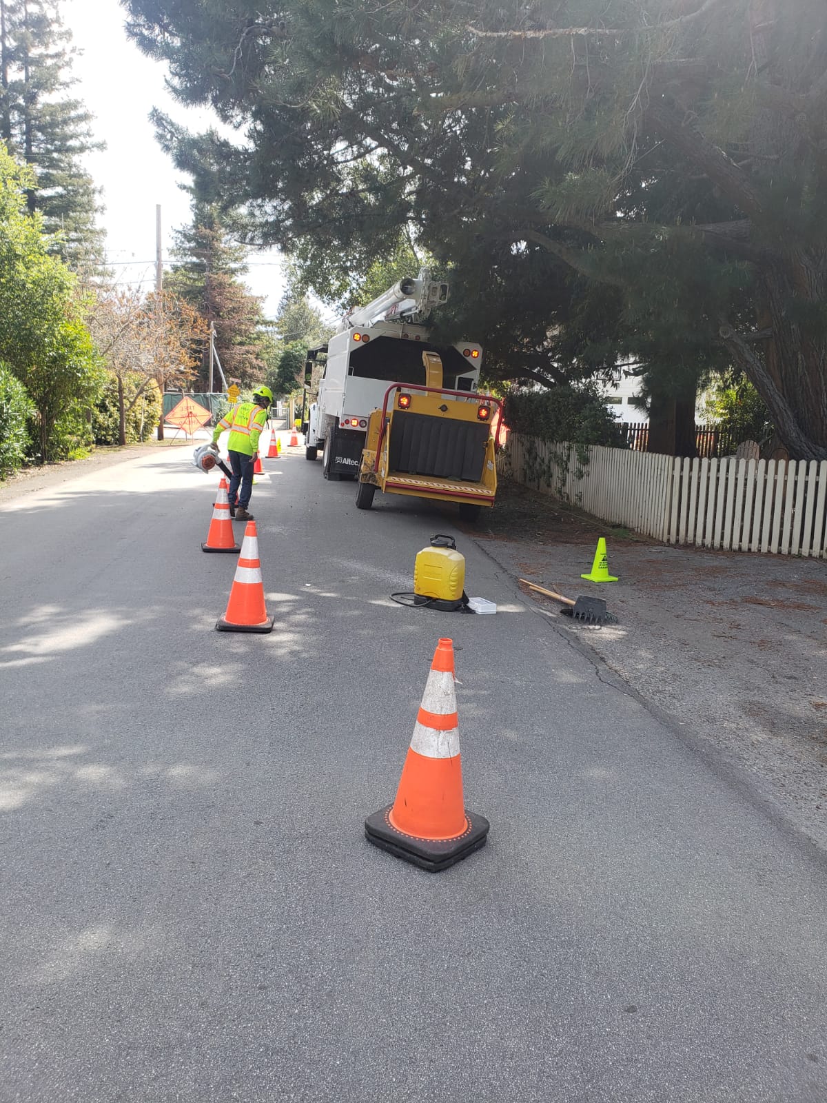 Tree Services Core Tree Care Inc Pedley CA