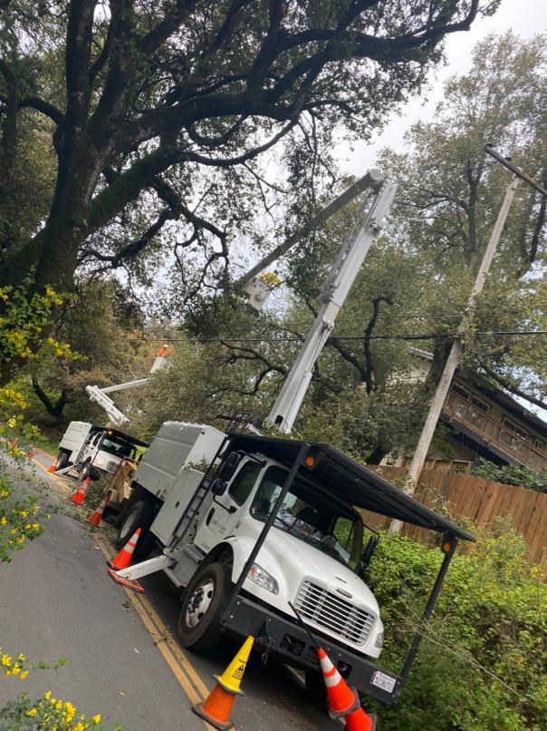 Tree Services Core Tree Care Inc Pedley CA