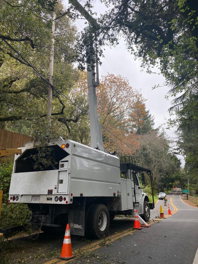 Tree Services Core Tree Care Inc Pedley CA