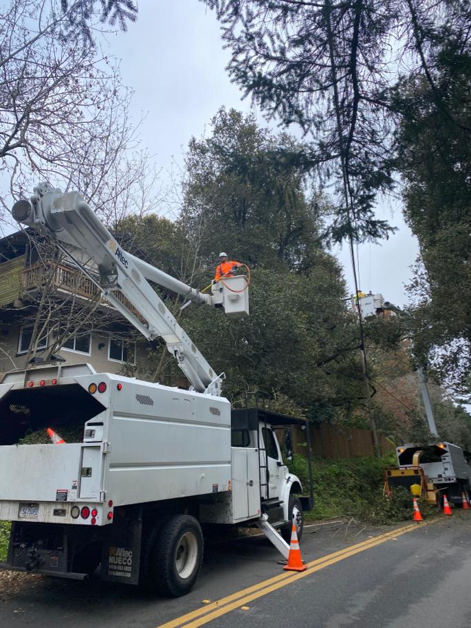 Tree Services Core Tree Care Inc Pedley CA