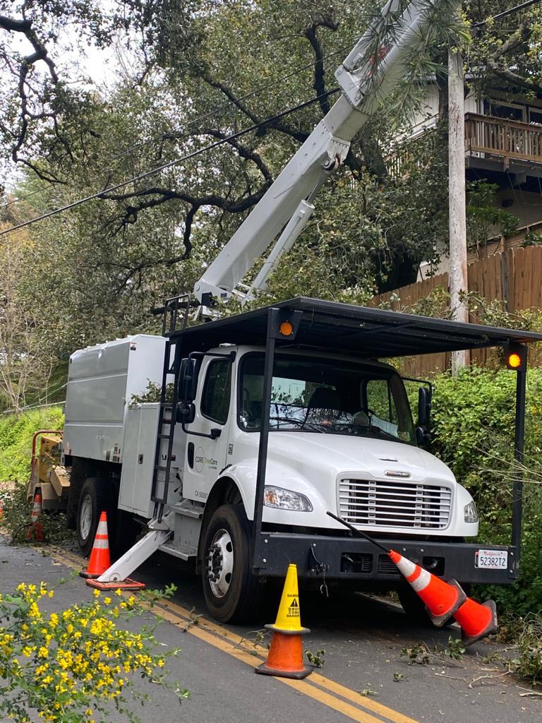 Tree Services Core Tree Care Inc Pedley CA