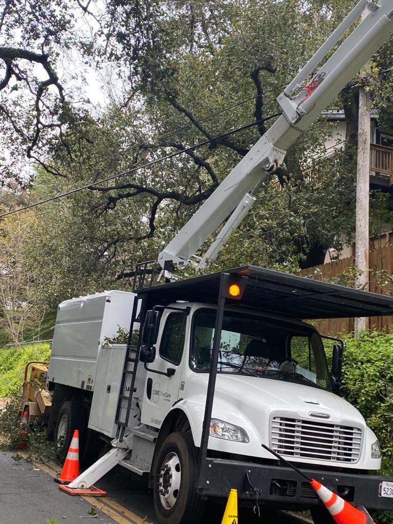 Tree Services Core Tree Care Inc Pedley CA