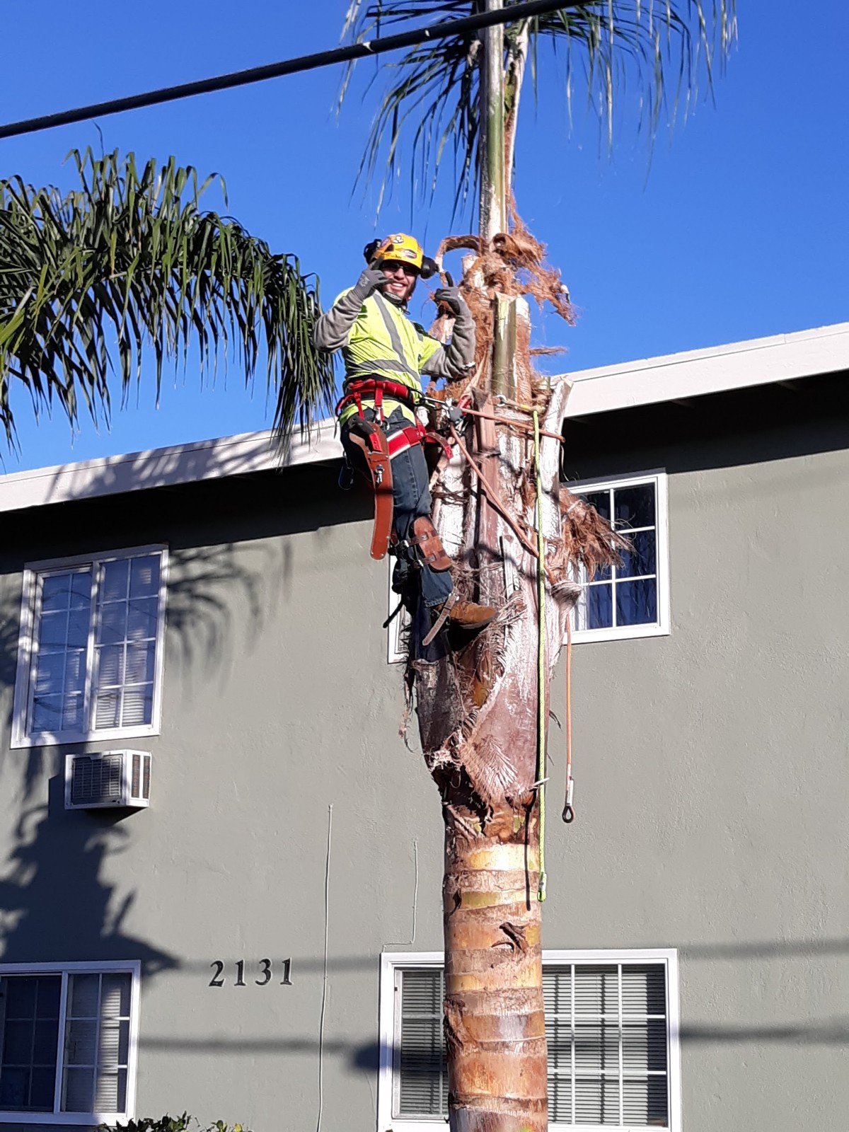 Tree Services Core Tree Care Inc Pedley CA