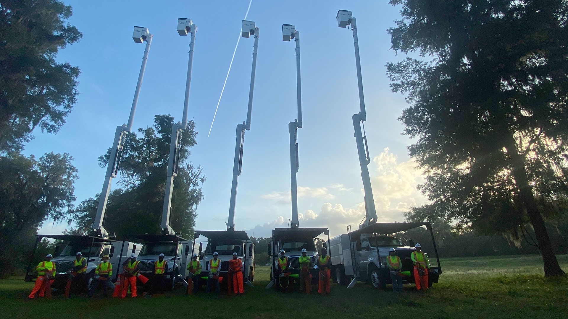 Tree Services Core Tree Care Inc Pedley CA