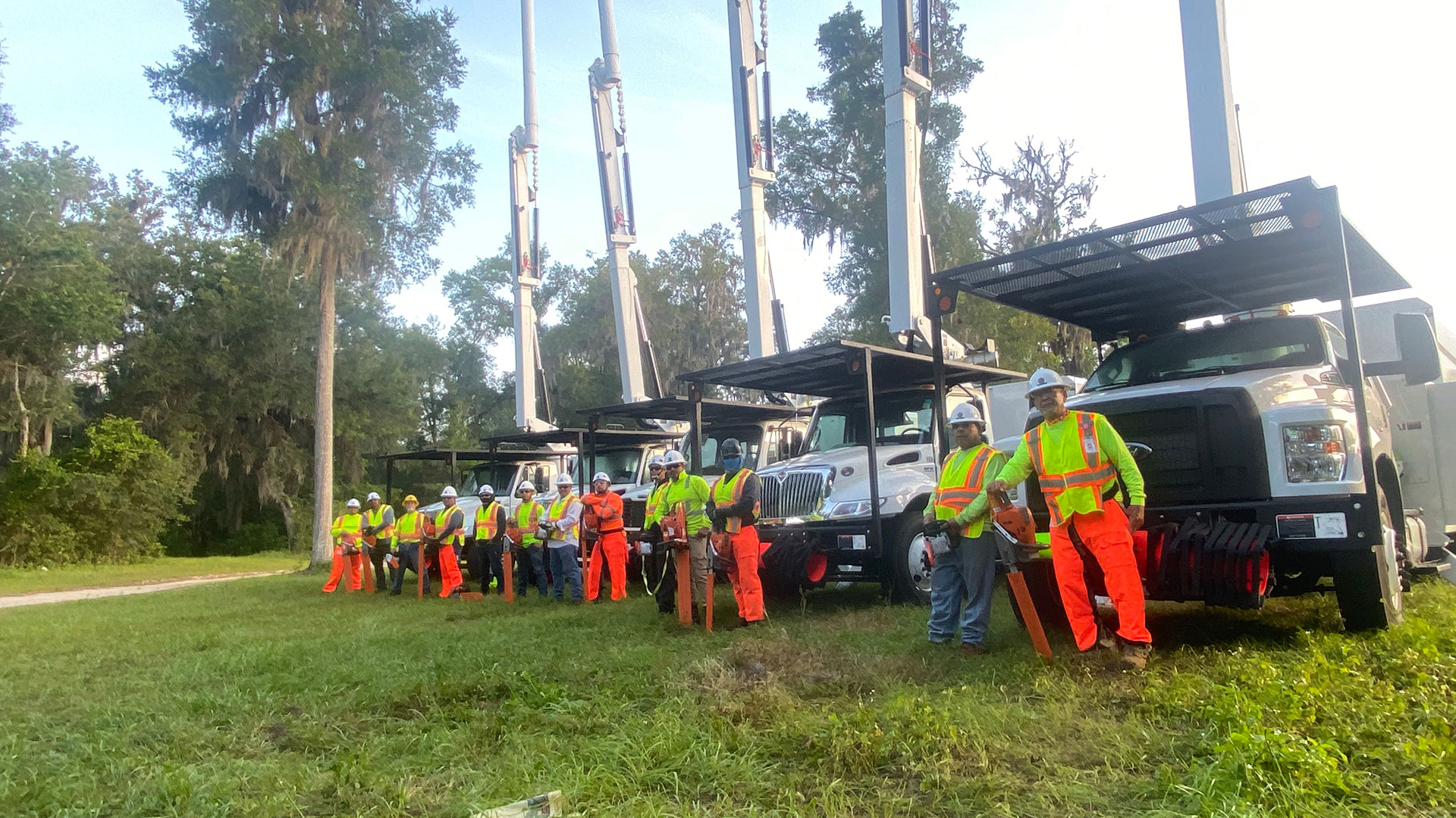 Tree Services Core Tree Care Inc Pedley CA