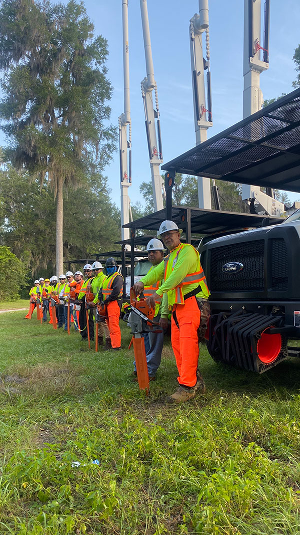 Tree Services Core Tree Care Inc Pedley CA