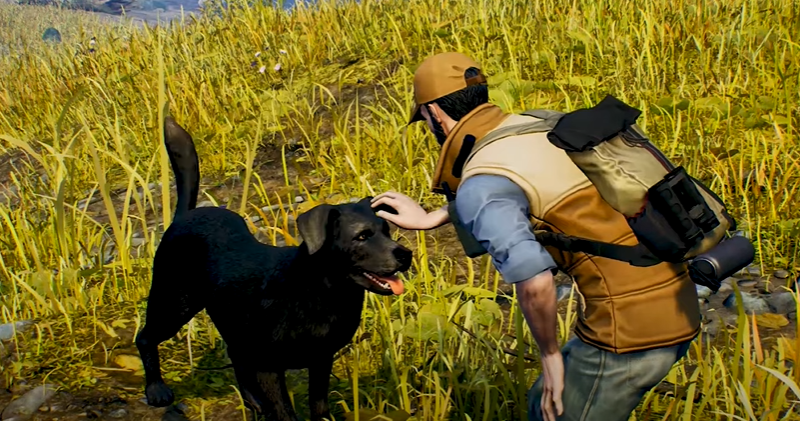 Open Country Game Xbox