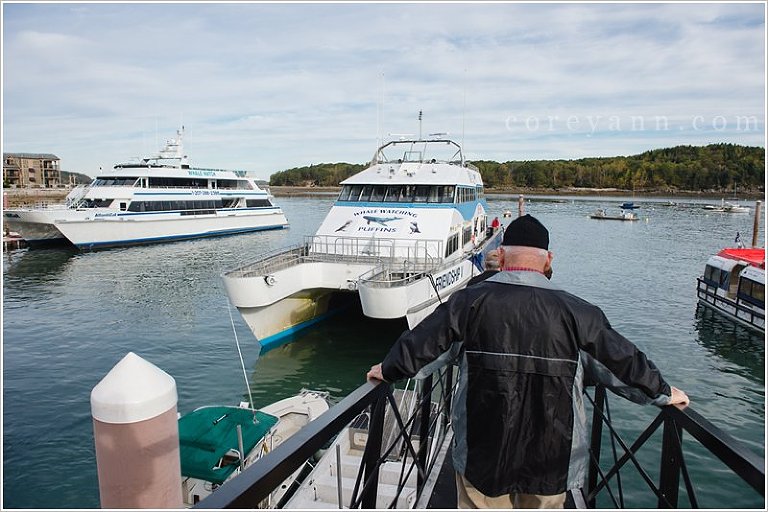 Autumn in Maine Bar Harbor Whale Watch Lighthouse Tour & Mount Desert
