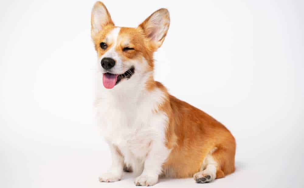 How Much Attention Do Need? Care