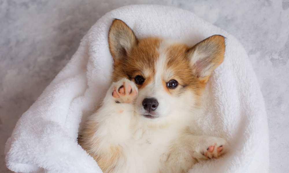 Weight How Much Should Your Weigh? Care