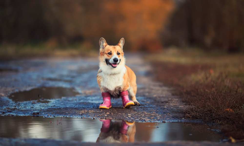 Do Need Winter Coats? Care