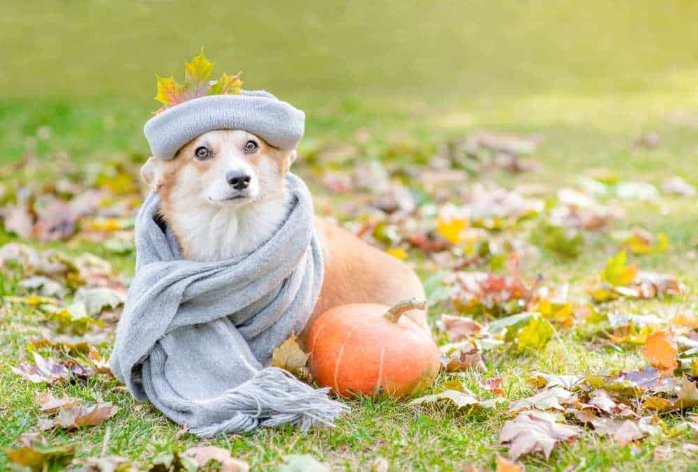 Do Need Winter Coats? Care