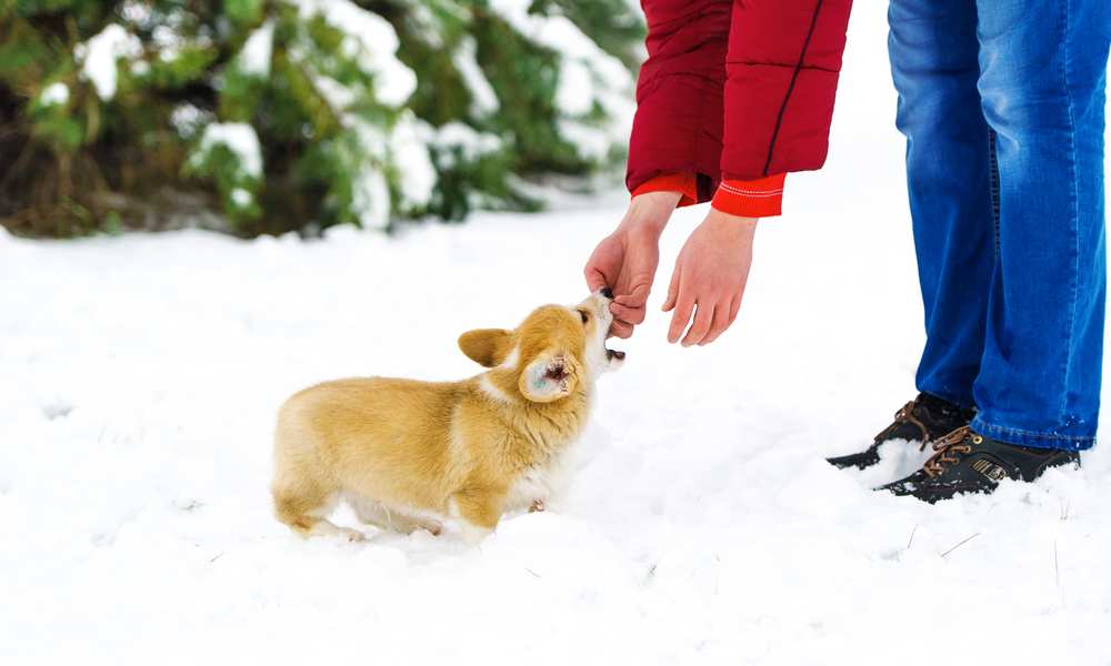 Do Need Jackets? Care