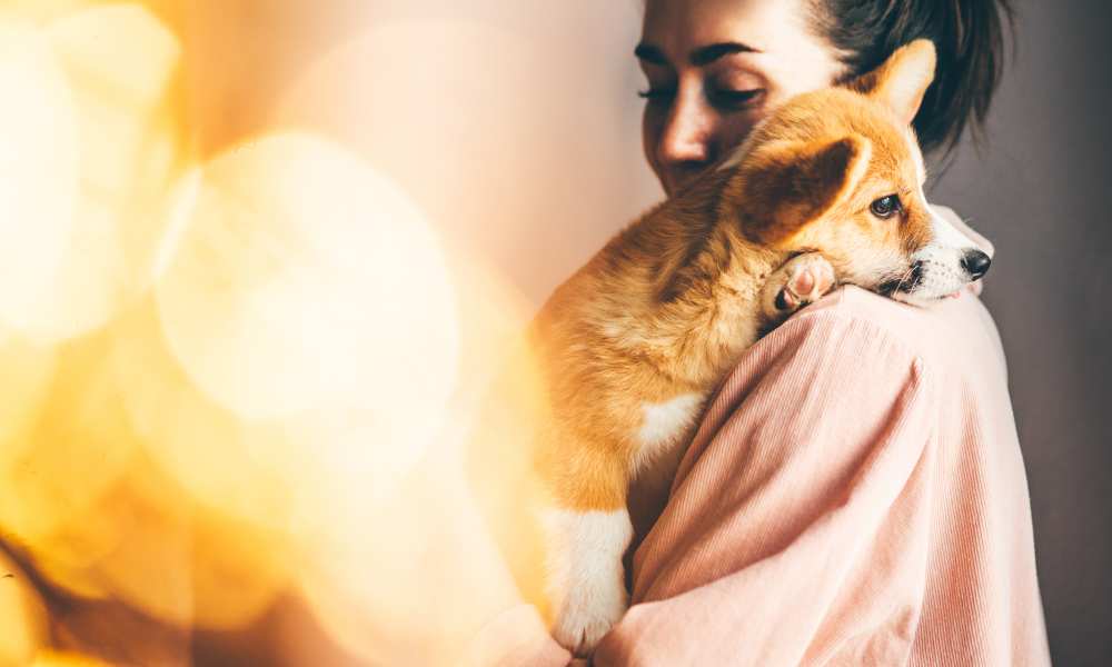 Are Good Emotional Support Dog? Care