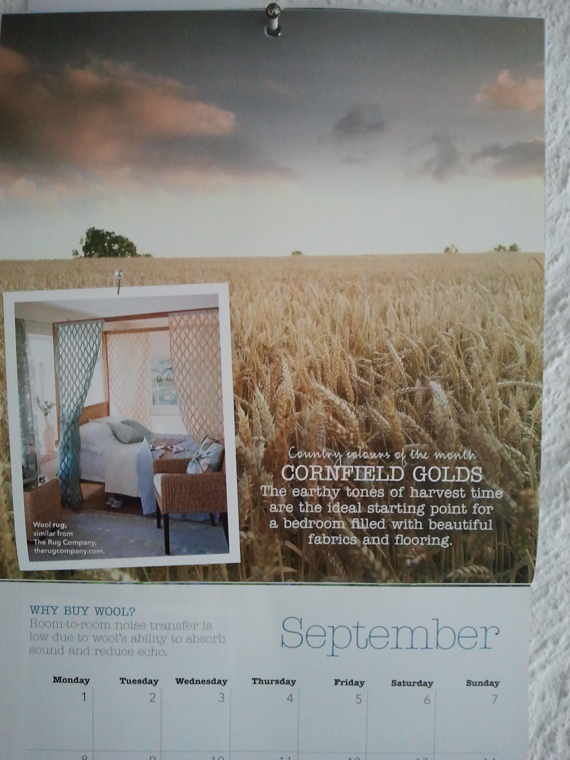 Last weekend of August Corine24