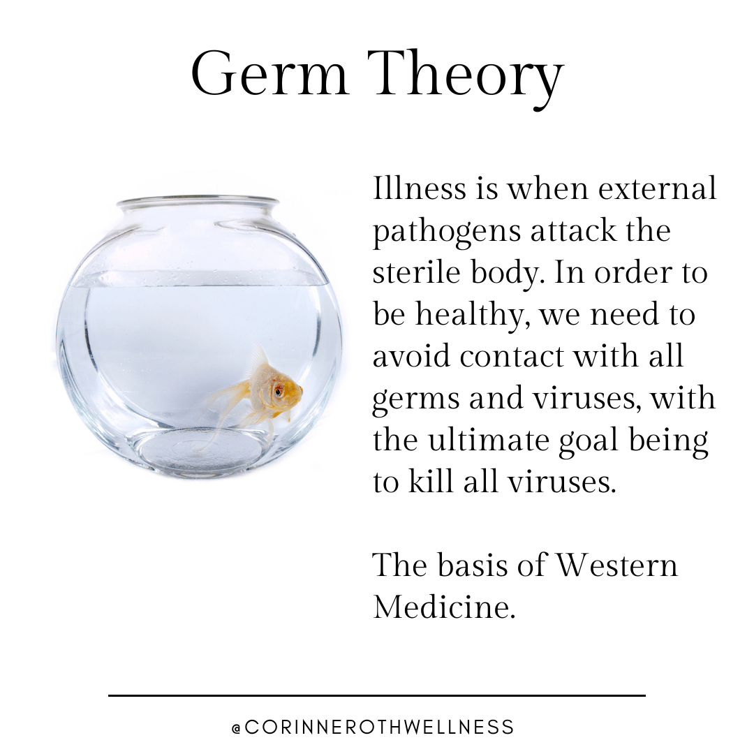 What is Germ Theory and Terrain Theory & How it Applies To Your Healthm