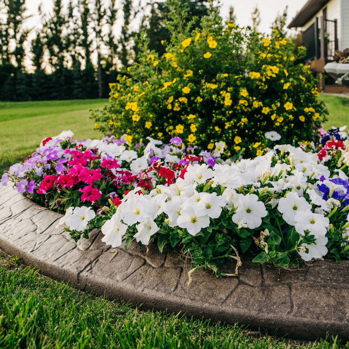 Lantana Landscaping Raised Flower Beds Lawn Service