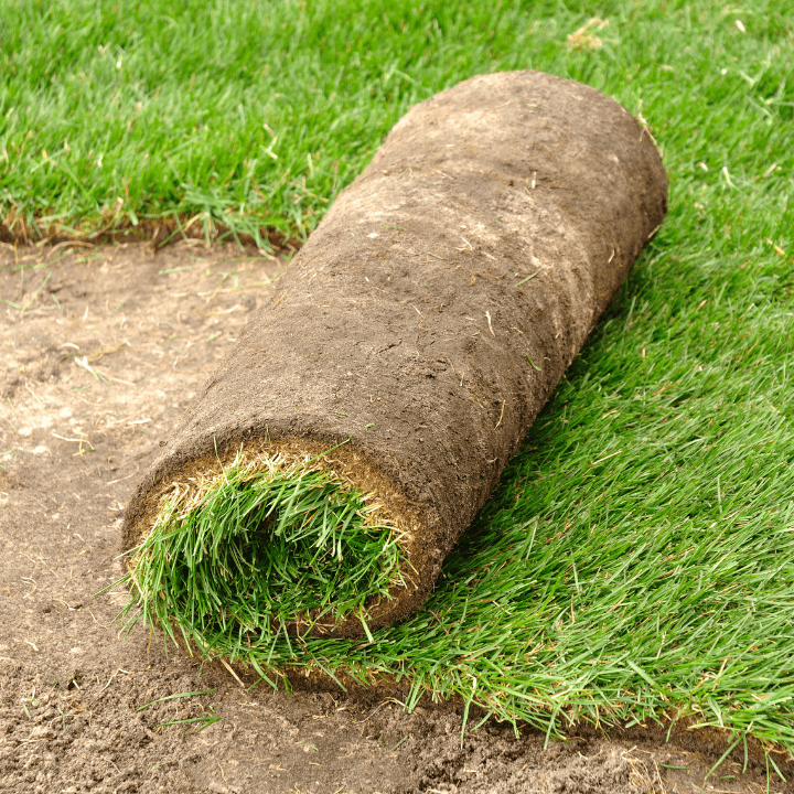 Sod and Grass Seed Installation Corinth Landscaping Denton County