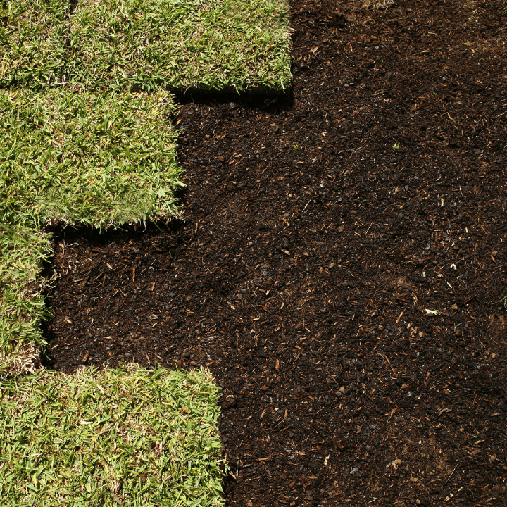 Sod and Grass Seed Installation Corinth Landscaping Denton County