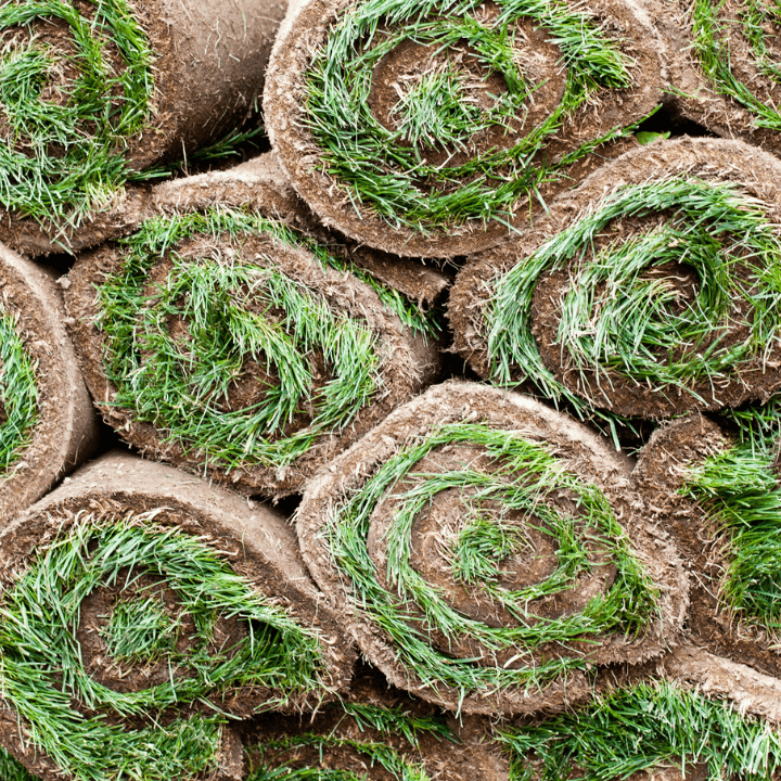 Sod and Grass Seed Installation Corinth Landscaping Denton County