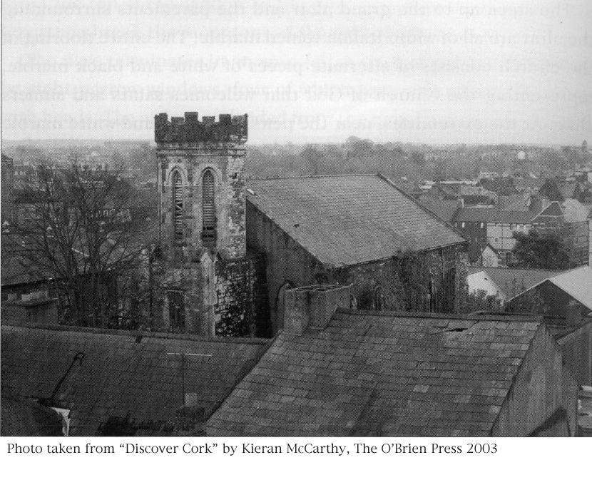 The Historical Records of Cork, Ireland