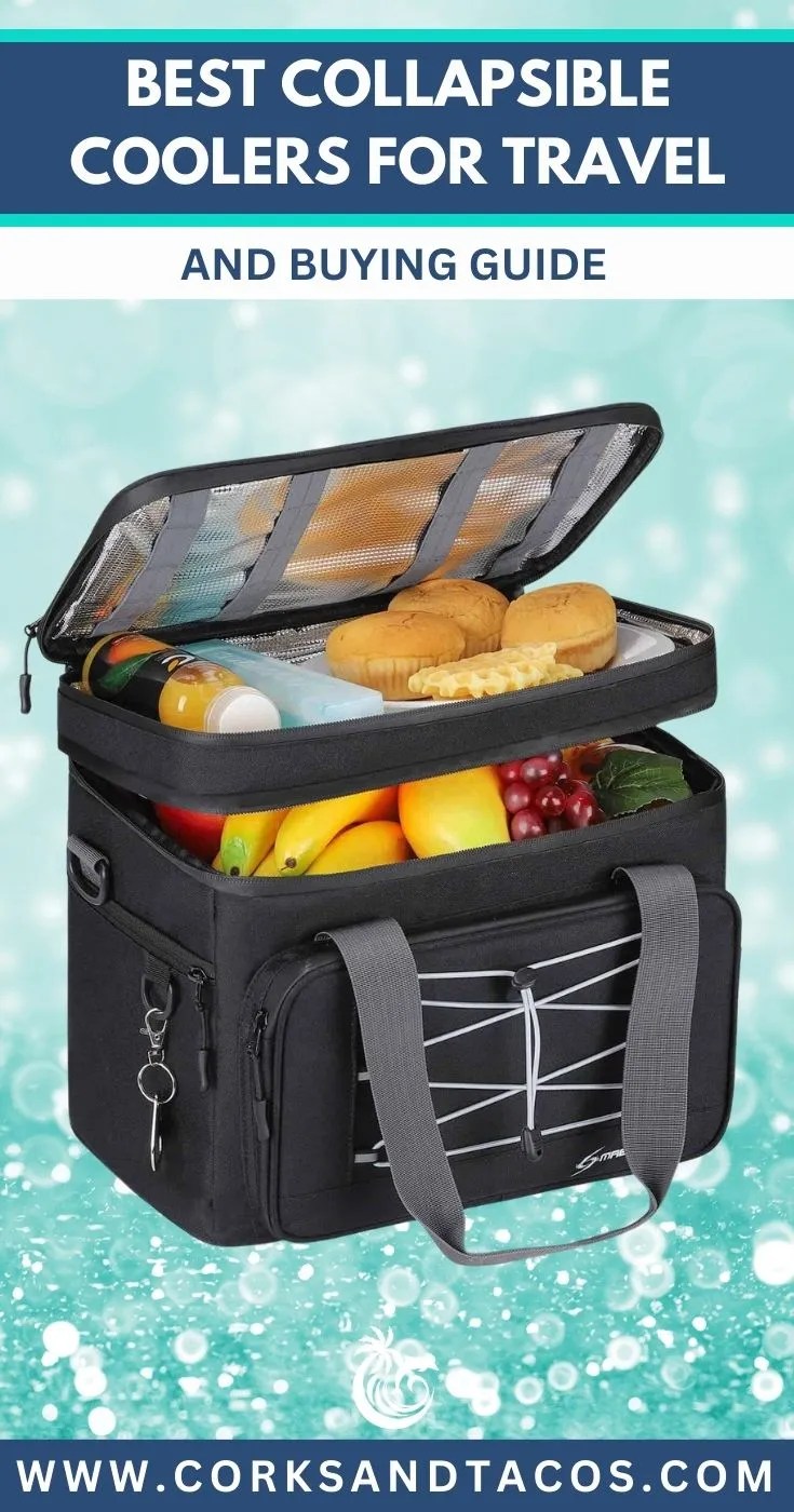 6 Best Collapsible Coolers For Travel 2024 Top Picks