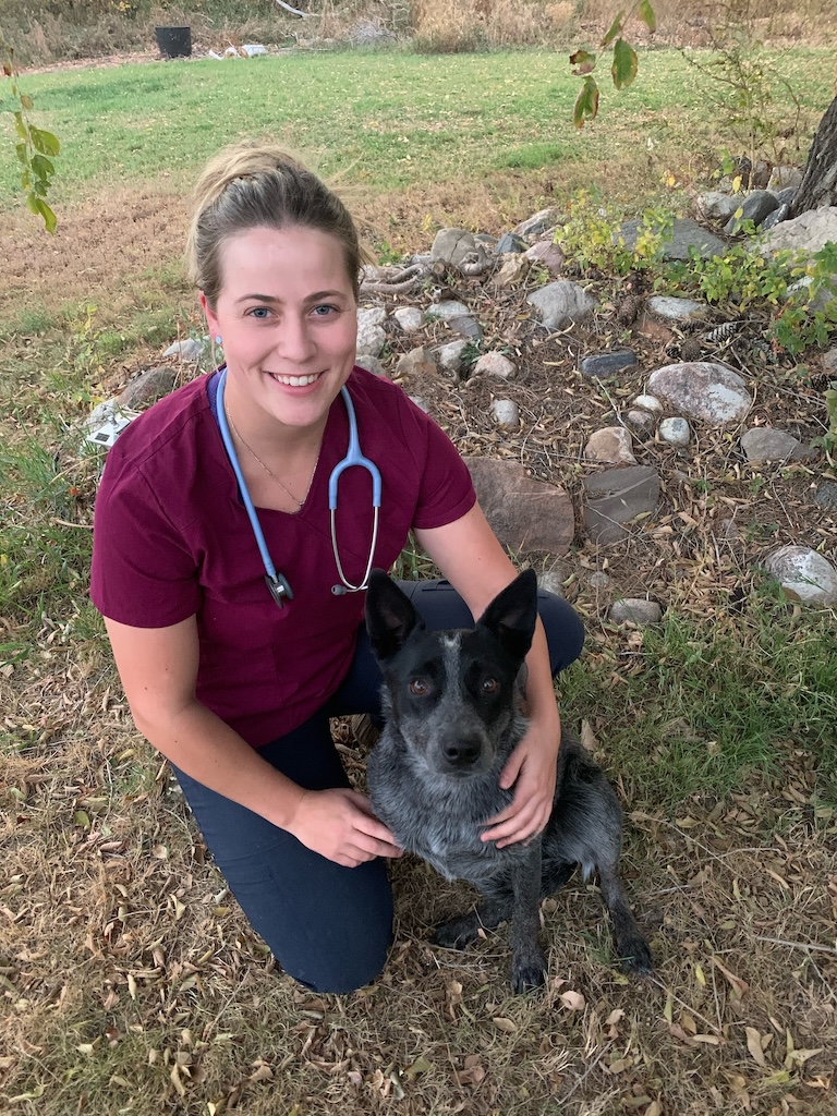 About Us Corman Park Vet Services Testing 123