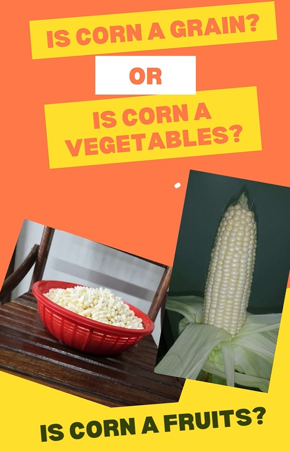 Is corn a vegetable or fruit Sweet Corn Specialist at Cameron