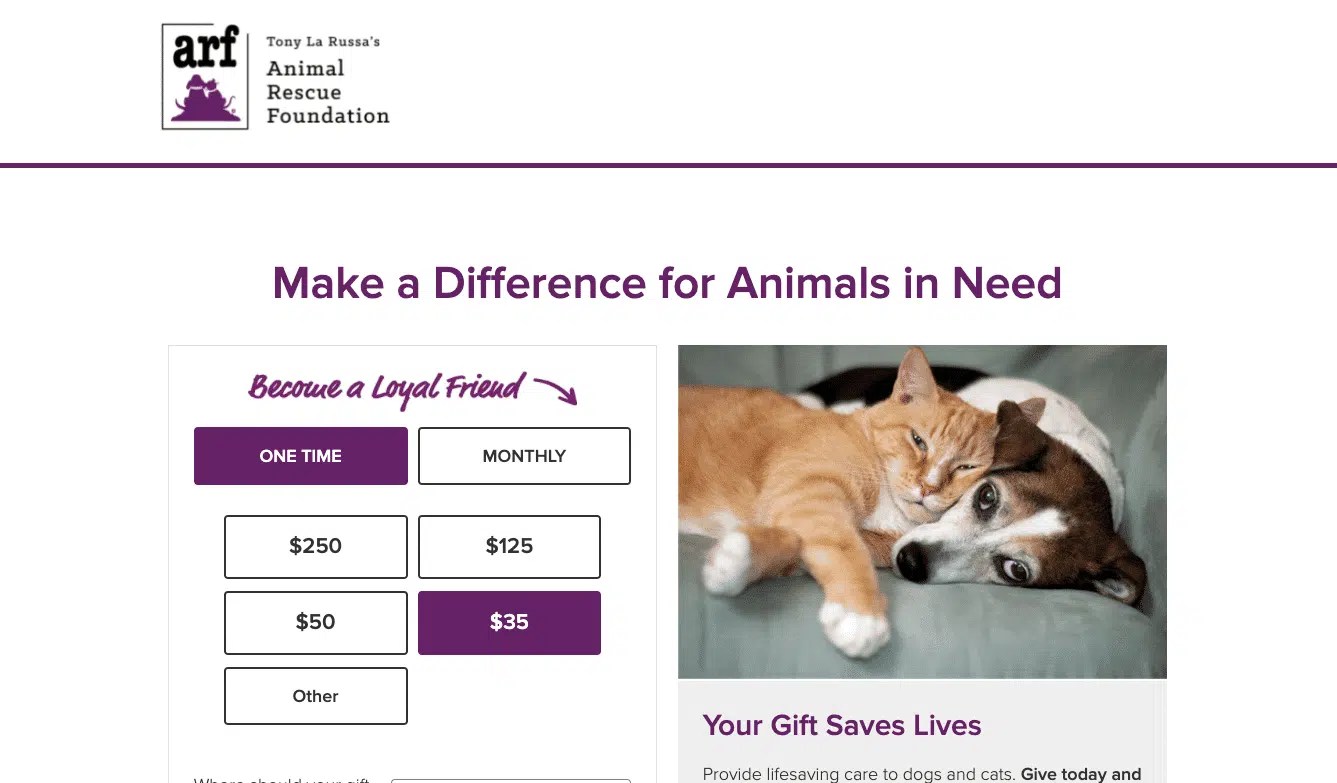 Can Dog Hair Cause Headaches