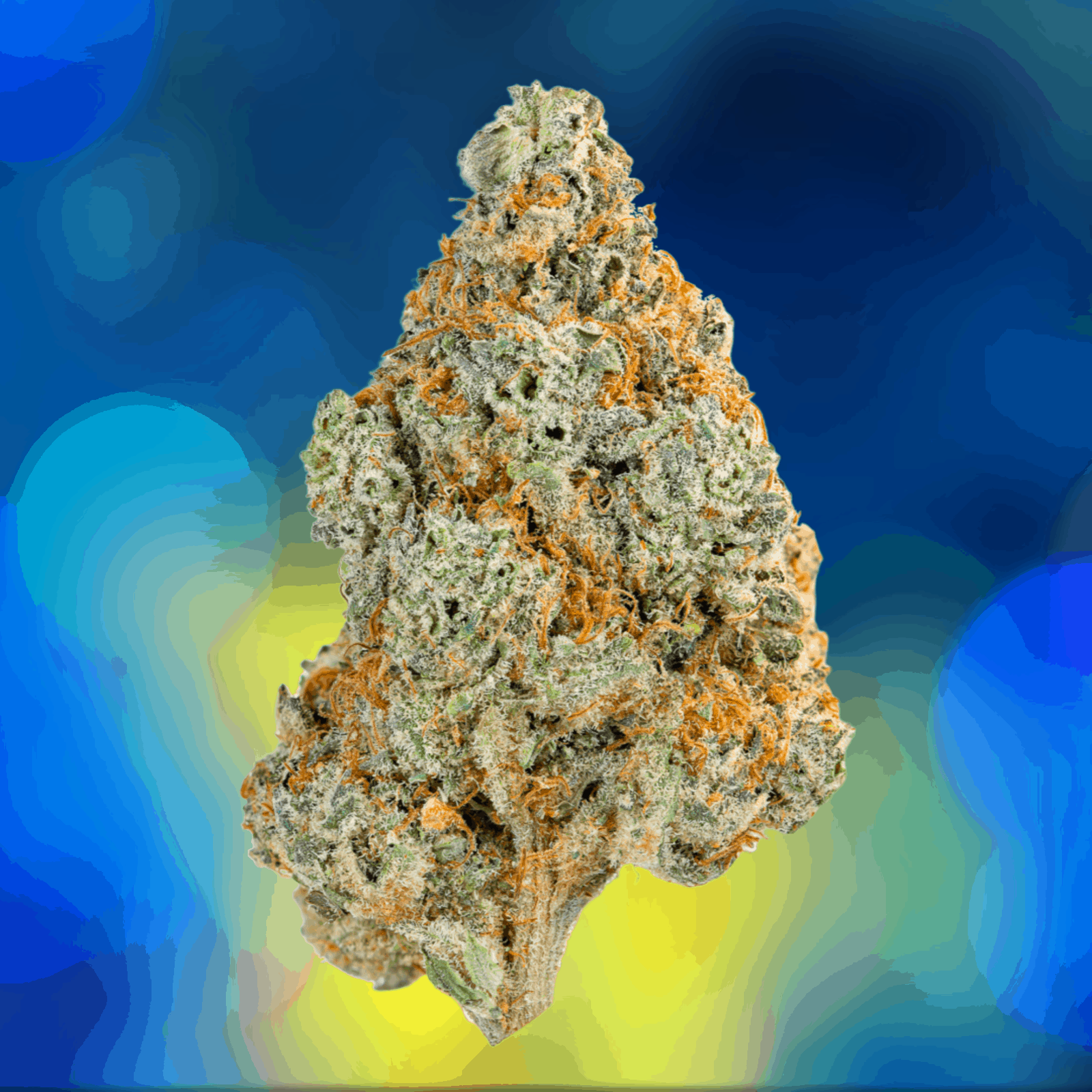 Cornerstone Wellness Curated Medical & Recreational Marijuana Shop