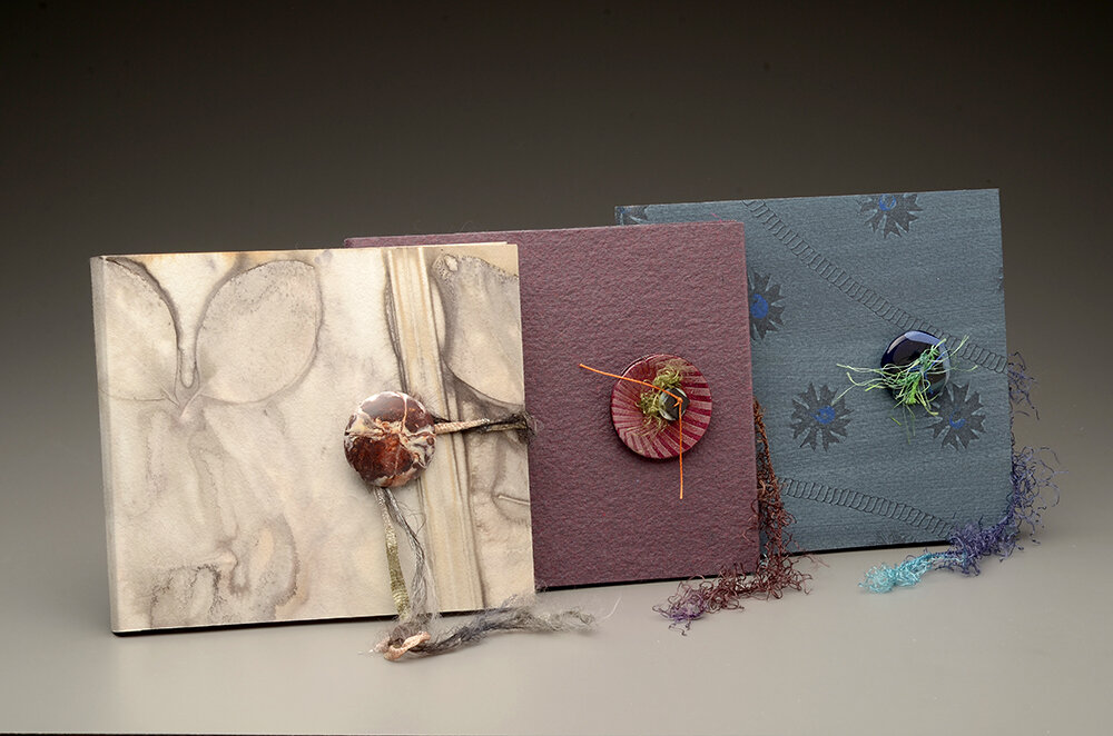 FoldOut Accordion Book Adele Sanborn